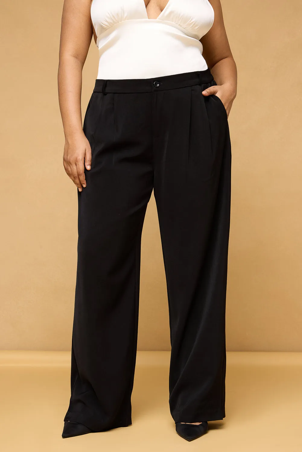 Everyday Comfort Wear Curve Black Pleated Straight Korean Pants