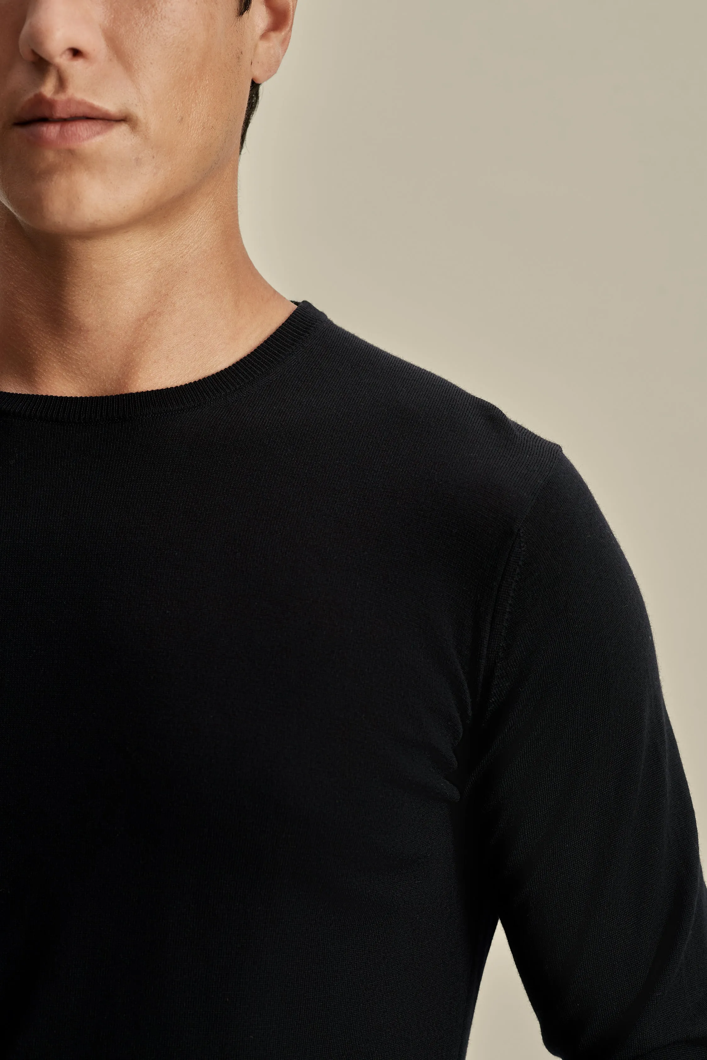 Warm Classic Merino Wool Extrafine Crew Neck Sweater