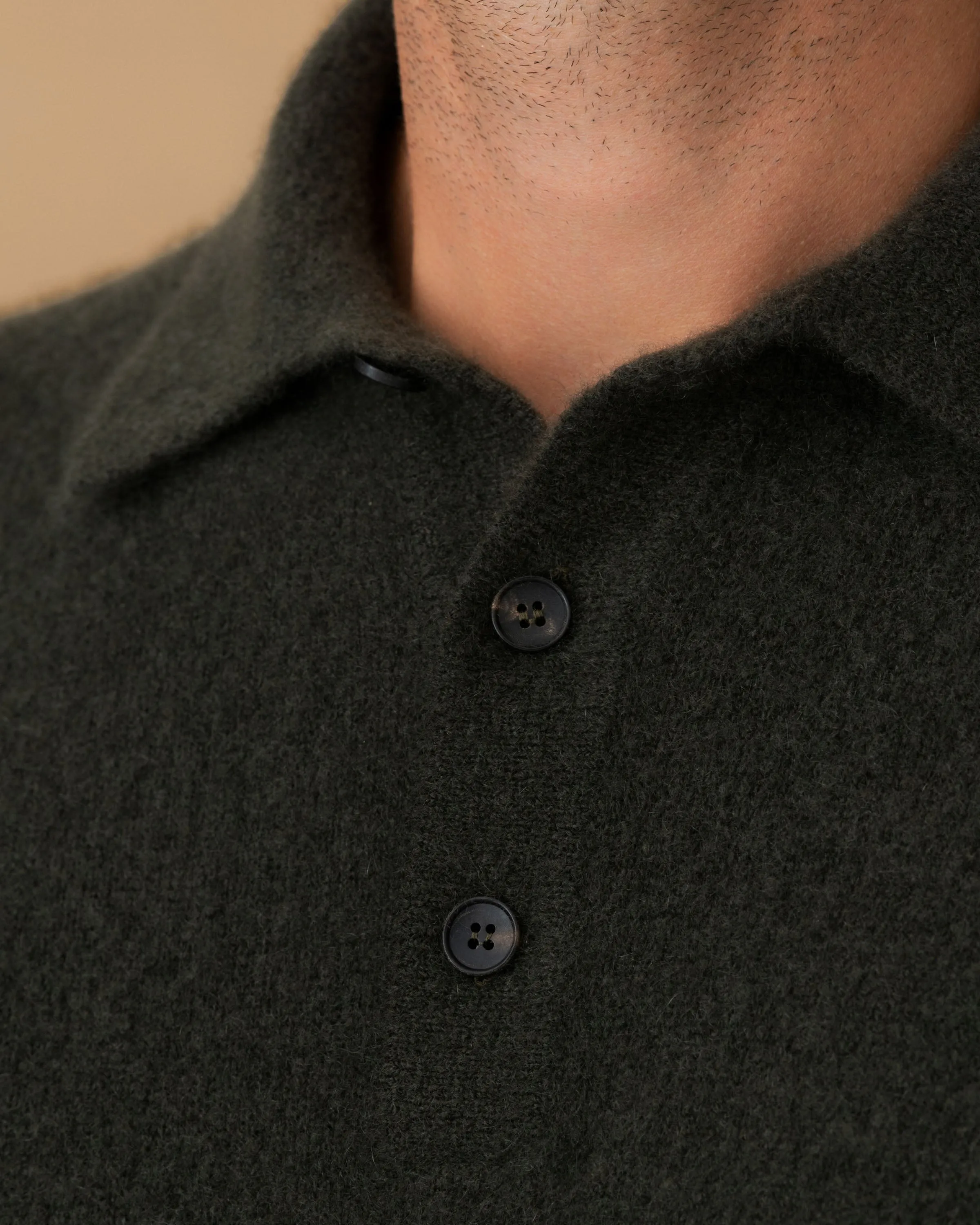 Turtleneck Variation Brushed Cashmere Silk Long Sleeve Polo Shirt